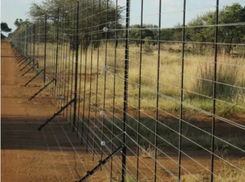 Game Lodge Fence
